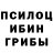 Галлюциногенные грибы ЛСД Berloga