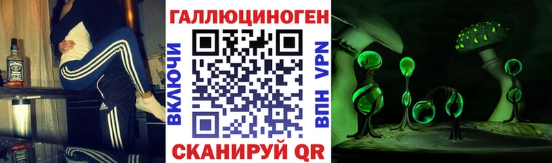 где купить наркотик  Аткарск  ОМГ ОМГ рабочий сайт  Псилоцибиновые грибы Cubensis 
